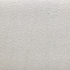 3602