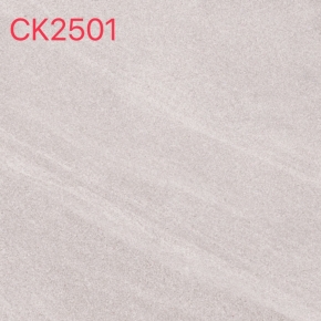 CK2501