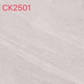 CK2501