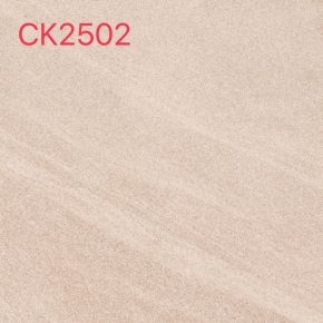 CK2502