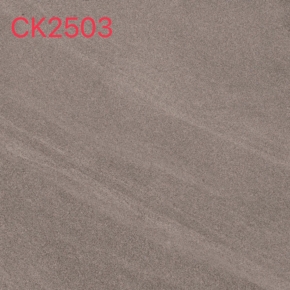 CK2503