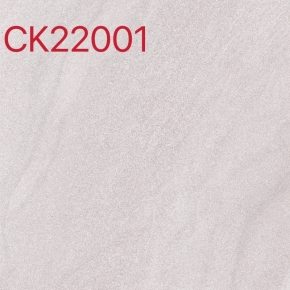 CK22001