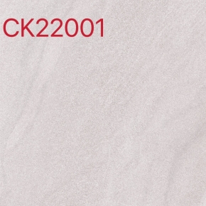 CK22001