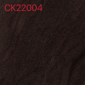 CK22004