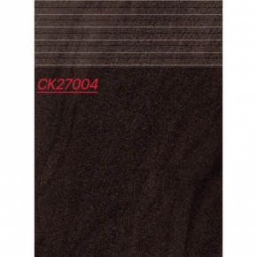 CK27004